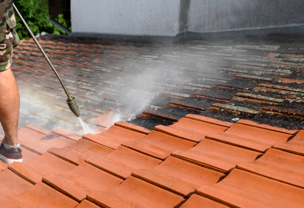 Best Pressure Washing Company Near Me  in Robertsde, AL