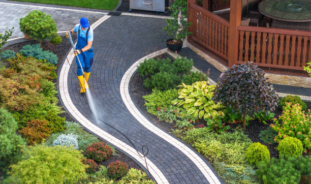 Best Local Pressure Washing Services  in Robertsde, AL