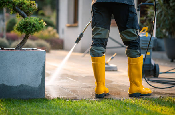 Best Roof Power Washing Services  in Robertsde, AL